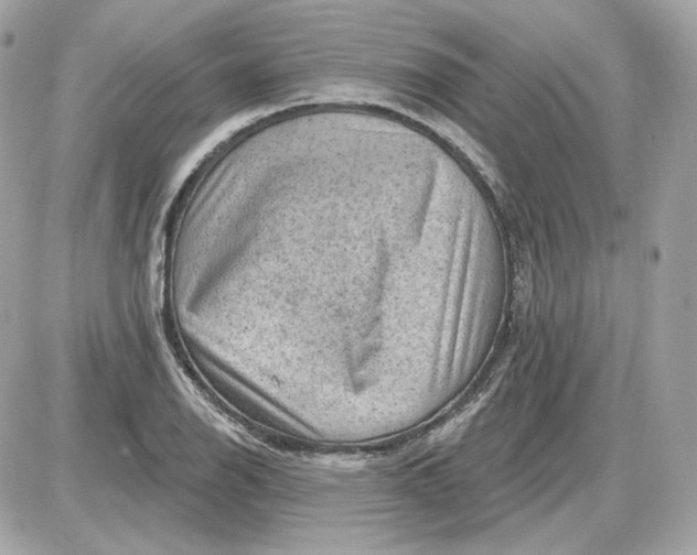 X0000087551126200705112114