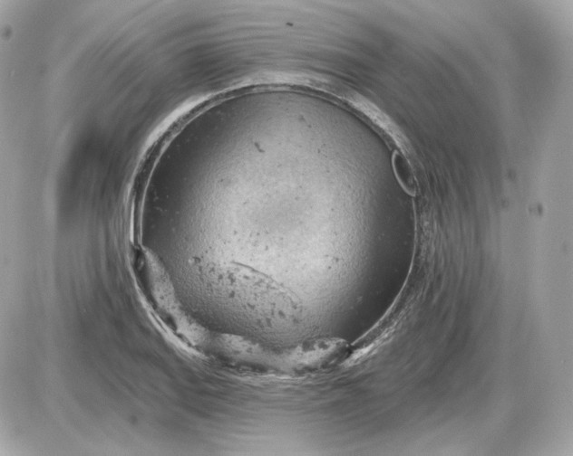 X0000087551127200705112115