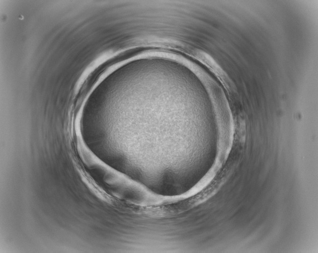 X0000087551128200705112115