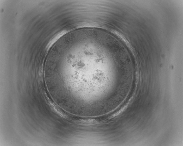 X0000087551129200705112115