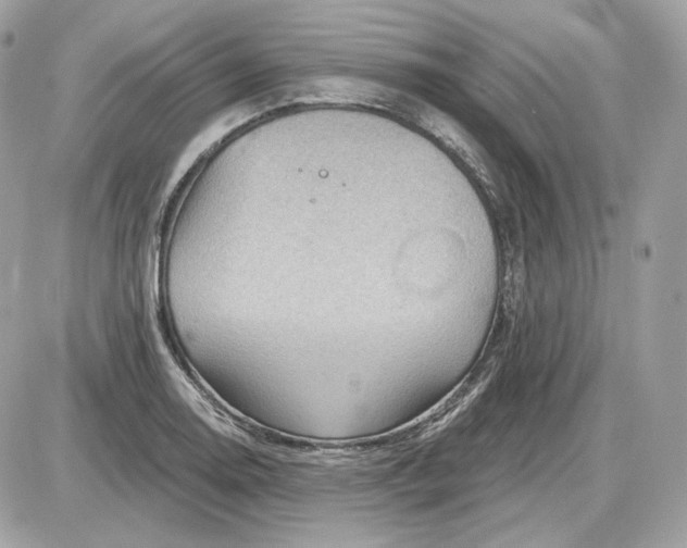 X0000087551130200705112115