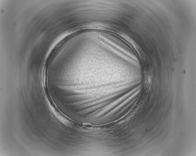 X0000087551131200705112115