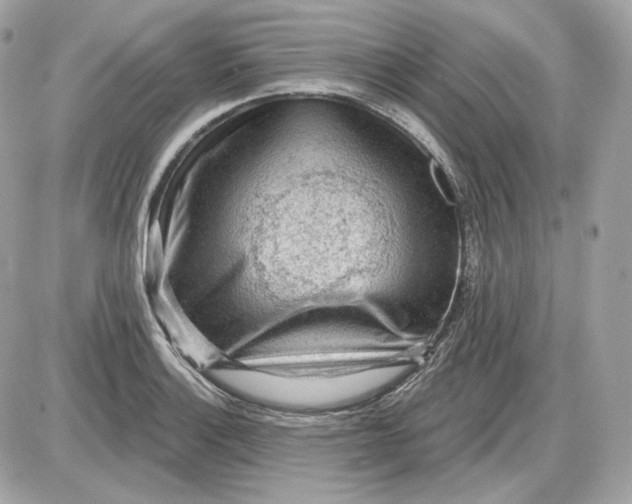 X0000087551132200705112115