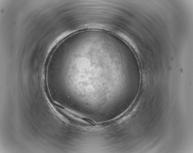 X0000087551133200705112115