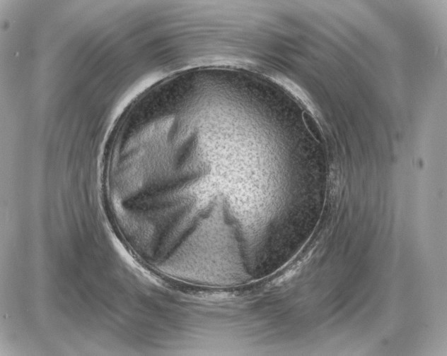 X0000087551135200705112115