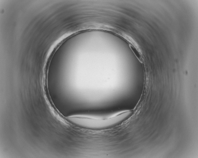 X0000087551136200705112115