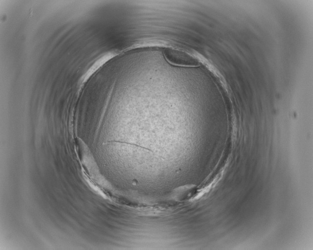 X0000087551137200705112115