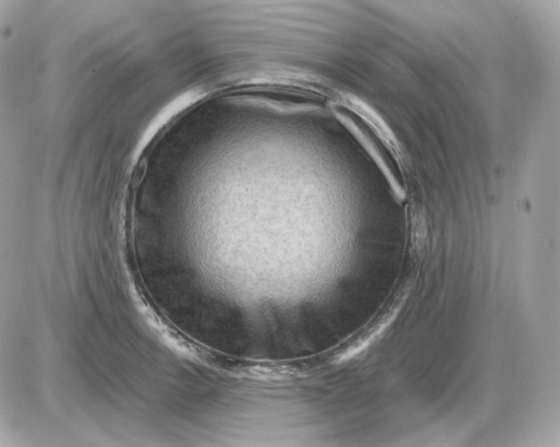 X0000087551138200705112115