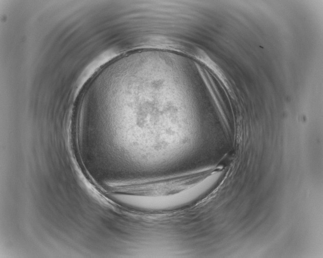 X0000087551139200705112115