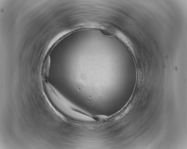 X0000087551141200705112115