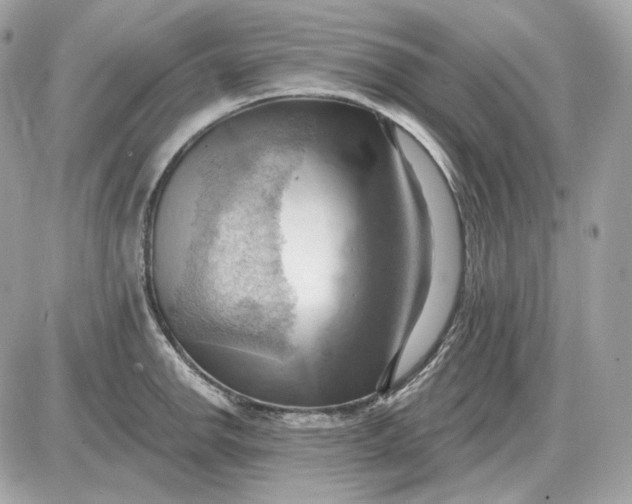 X0000087551142200705112115