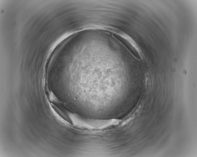 X0000087551143200705112115