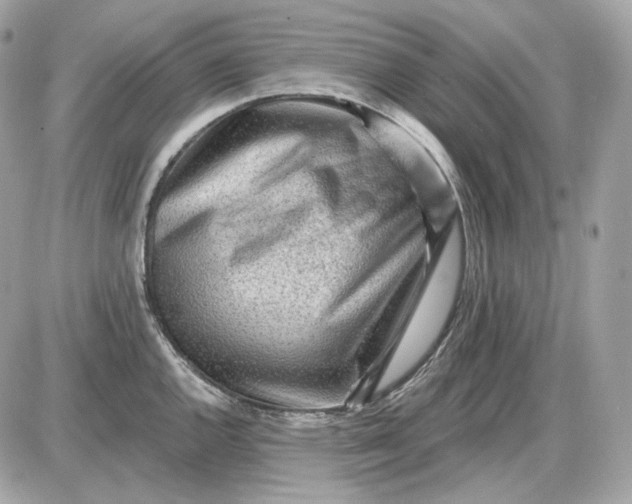 X0000087551144200705112115