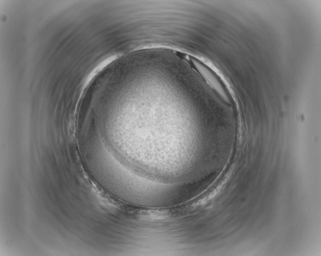 X0000087551145200705112115