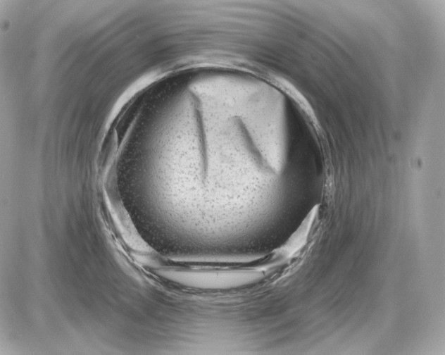 X0000087551146200705112115