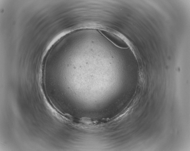 X0000087551147200705112115