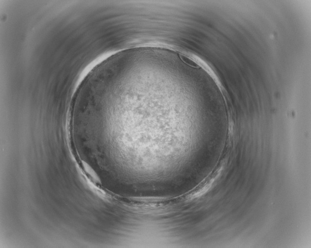 X0000087551149200705112115