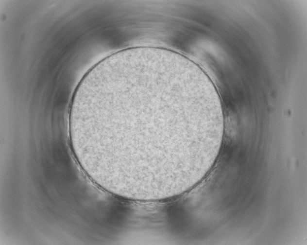 X0000087551150200705112115