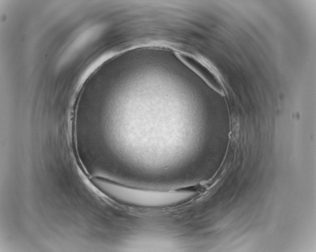 X0000087551151200705112115