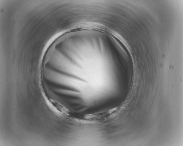 X0000087551152200705112115