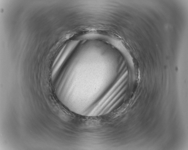 X0000087551153200705112114