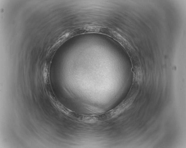 X0000087551154200705112114