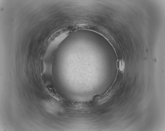 X0000087551155200705112114