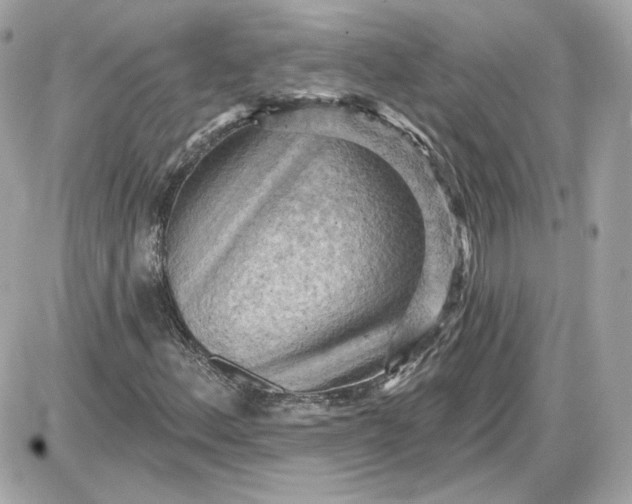 X0000087551156200705112114