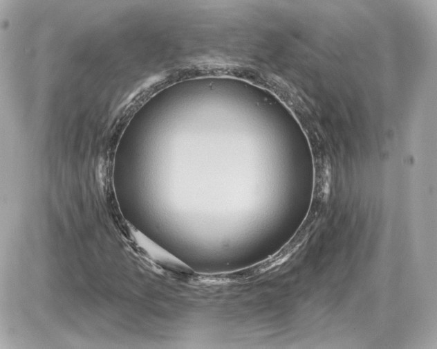 X0000087551157200705112114