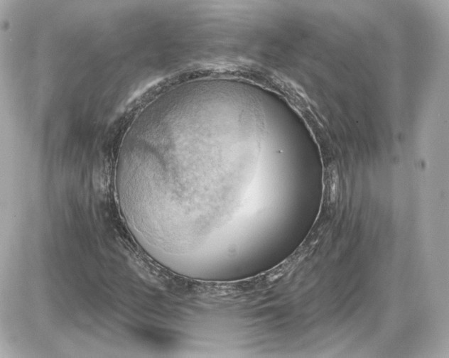 X0000087551158200705112114