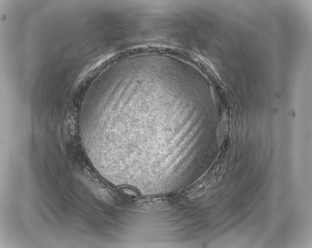 X0000087551159200705112114