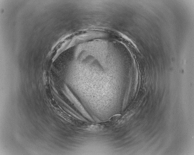 X0000087551160200705112114