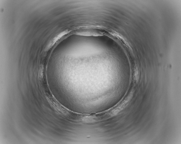 X0000087551161200705112114