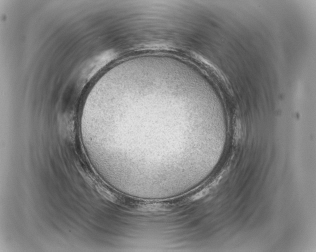 X0000087551162200705112114