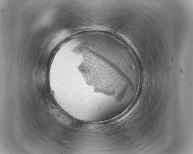 X0000087551163200705112114