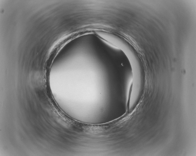 X0000087551164200705112114