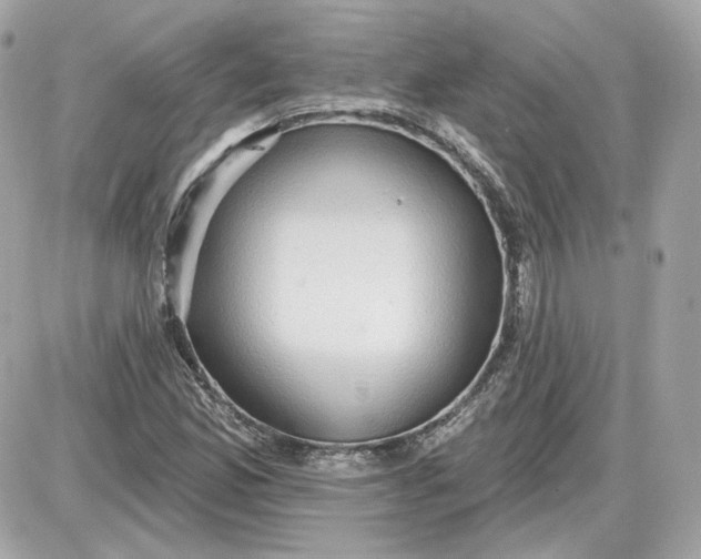 X0000087551165200705112114