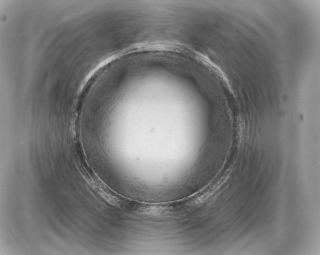 X0000087551166200705112114