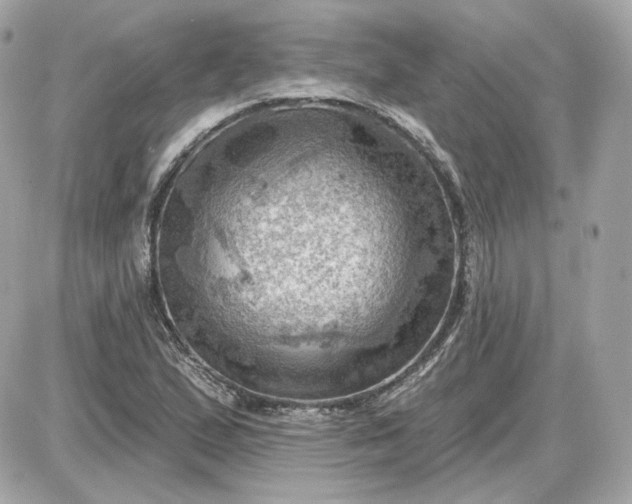 X0000087551167200705112114