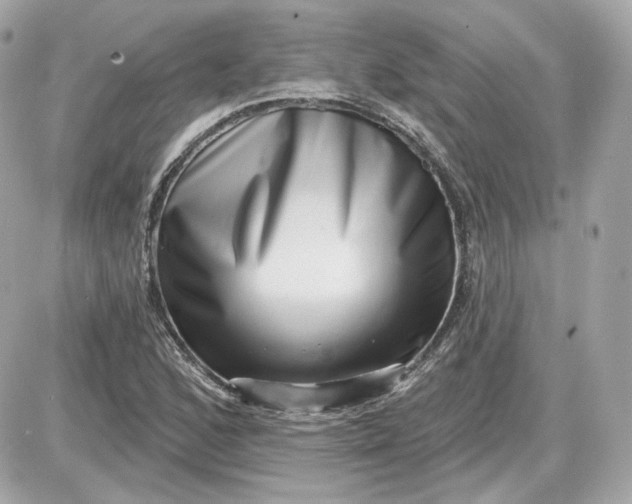 X0000087551168200705112114