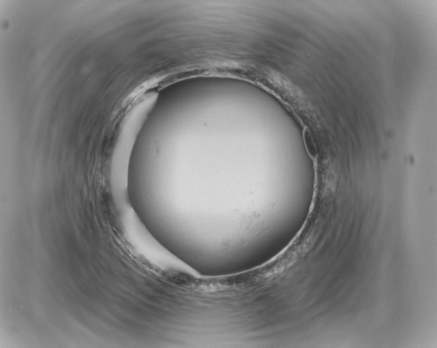 X0000087551169200705112114