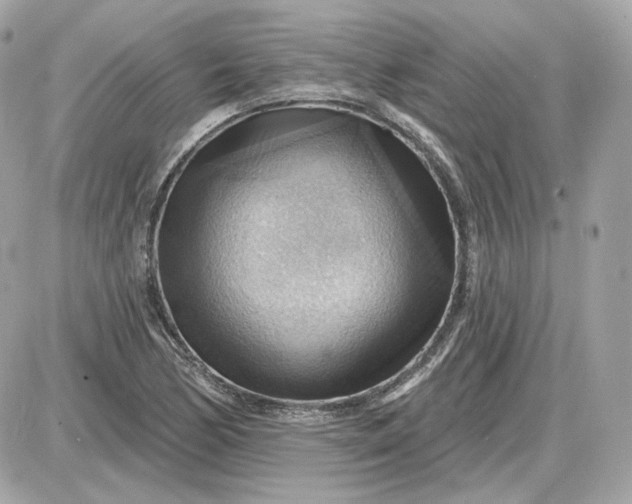 X0000087551170200705112114