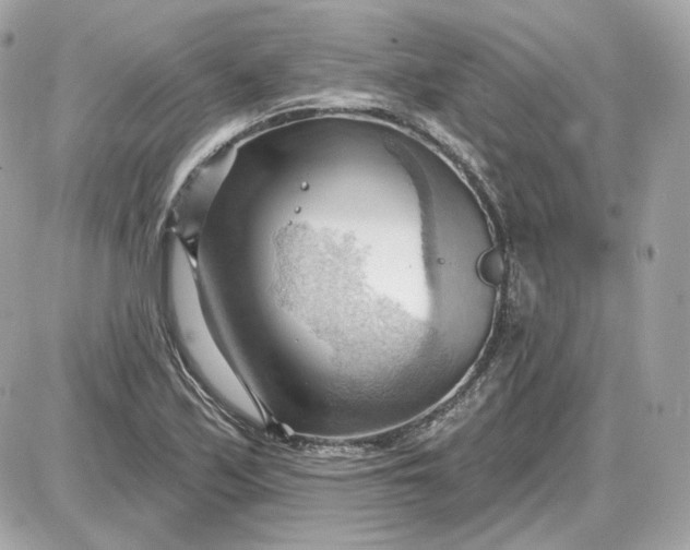 X0000087551171200705112114