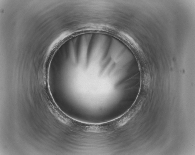 X0000087551172200705112114