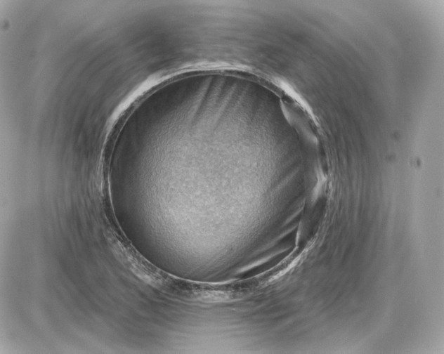 X0000087551173200705112114