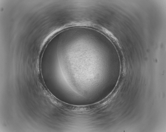 X0000087551174200705112114