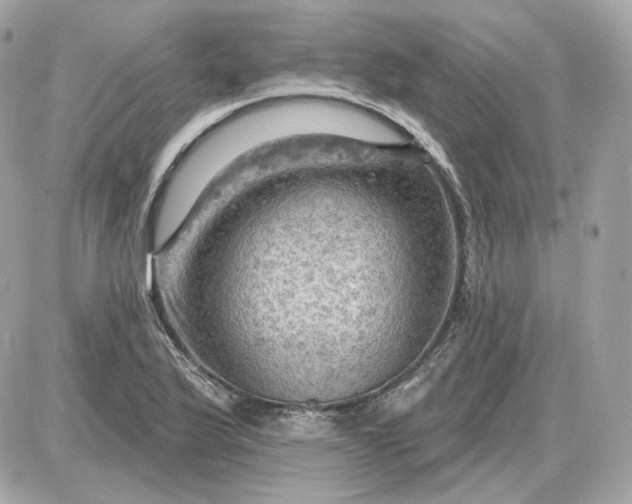 X0000087551175200705112114