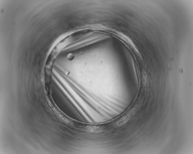 X0000087551176200705112114