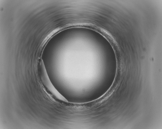 X0000087551177200705112114