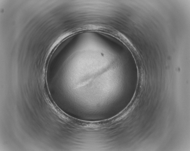 X0000087551178200705112114